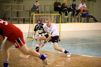 IMG_5619.JPG